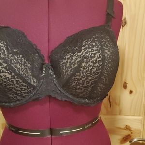 Torrid Bra